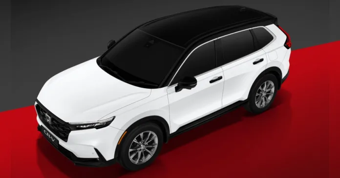 Untitled design - 2025-11-13T113202.972