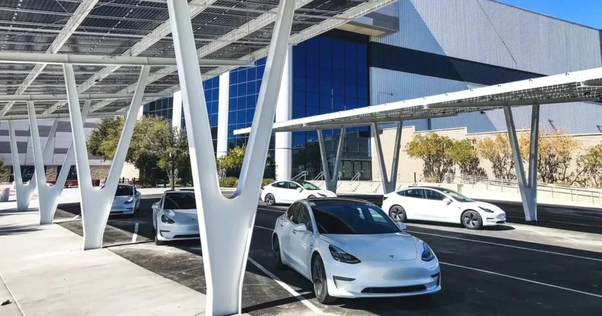 Terowong Bawah Tanah Ini Hanya Dikhaskan untuk Kereta Tesla